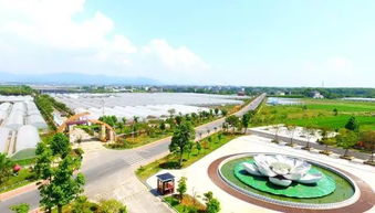 衢州邁入旅游發(fā)展新時(shí)代 以全域思維擘畫未來(lái)藍(lán)圖